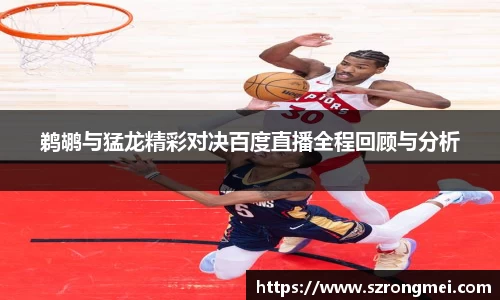 鹈鹕与猛龙精彩对决百度直播全程回顾与分析